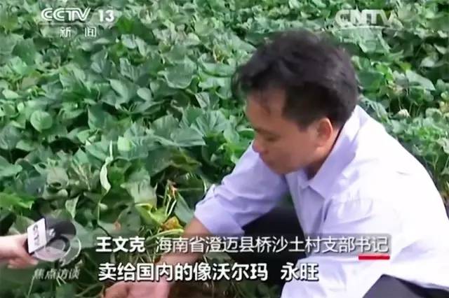 富硒地瓜需要(富硒地瓜好吗)-硒宝网