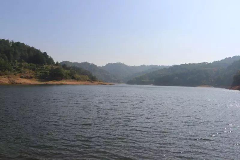 港边富硒地瓜(富硒地瓜是什么品种)-硒宝网