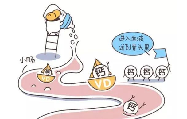 正确补钙（补钙正确方法）-硒宝网