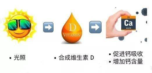 正确补钙（补钙正确方法）-硒宝网