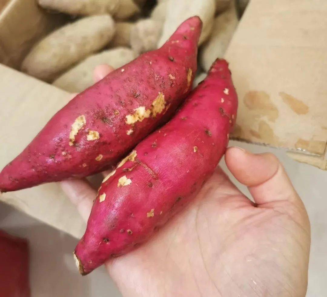 六鳌富硒地瓜(富硒地瓜和六鳌地瓜哪个好吃)-硒宝网