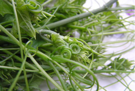 吃什么水果补锌（吃水果补锌吗）-硒宝网