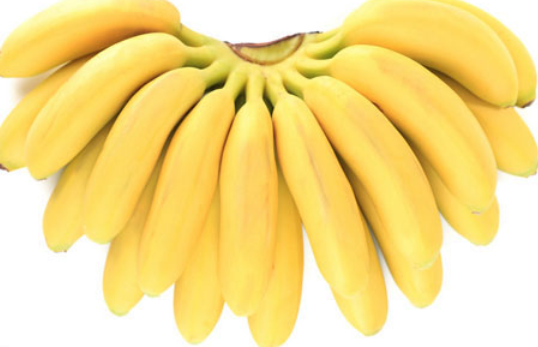 吃什么水果补锌（补锌的水果有哪些补锌吃啥药）-硒宝网