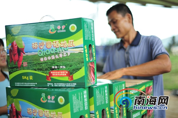 店子富硒地瓜(富硒地瓜好吃吗)-硒宝网