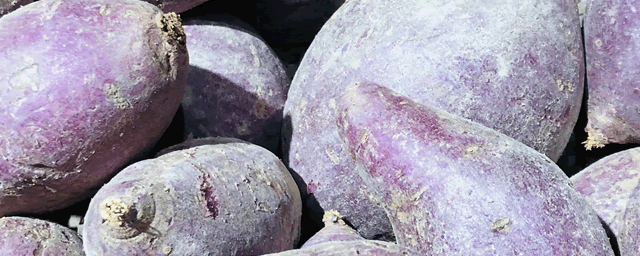 红薯补铁吗（红薯能和补铁的一起吃吗）-硒宝网