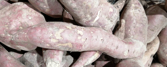 红薯补铁吗（红薯能和补铁的一起吃吗）-硒宝网