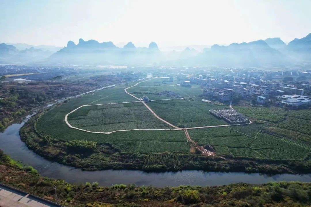 店子富硒地瓜（富硒地瓜有什么好处）-硒宝网