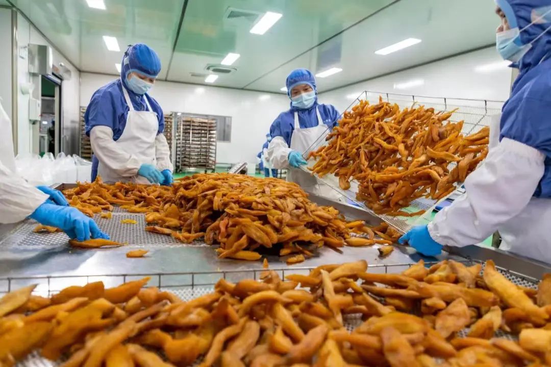 店子富硒地瓜（富硒地瓜有什么好处）-硒宝网