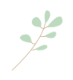 店子富硒地瓜（富硒地瓜有什么好处）-硒宝网