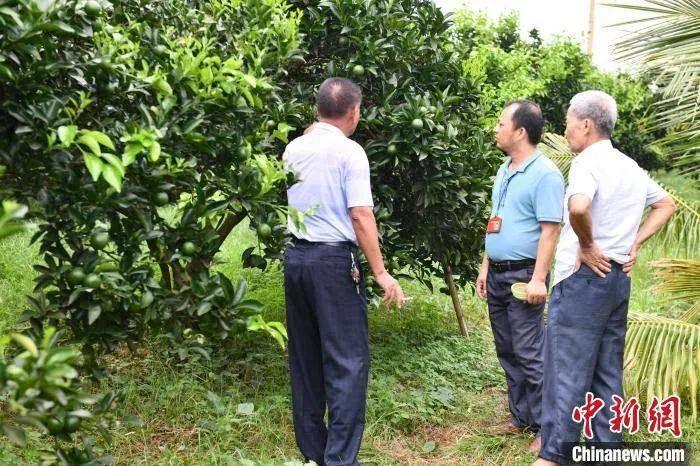 富硒地瓜农药（农药地瓜富硒含量高吗）-硒宝网