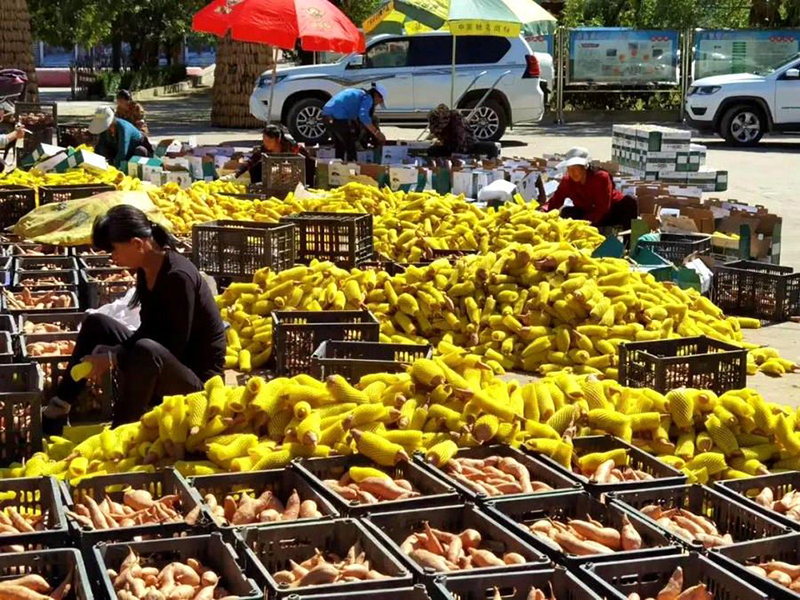 富硒地瓜网购(富硒地瓜好吃吗)-硒宝网