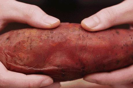 富硒沙土地瓜(富硒地瓜好吗)-硒宝网