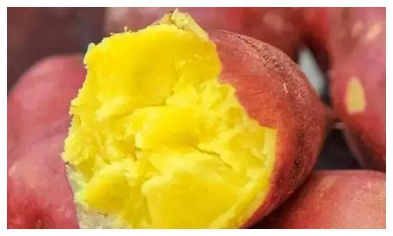 富硒沙土地瓜(富硒地瓜好吗)-硒宝网