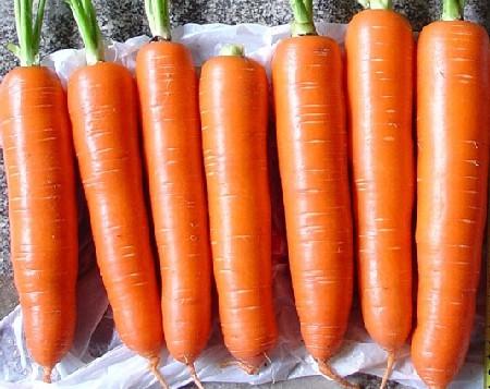 红薯补铁吗(红薯缺铁)-硒宝网