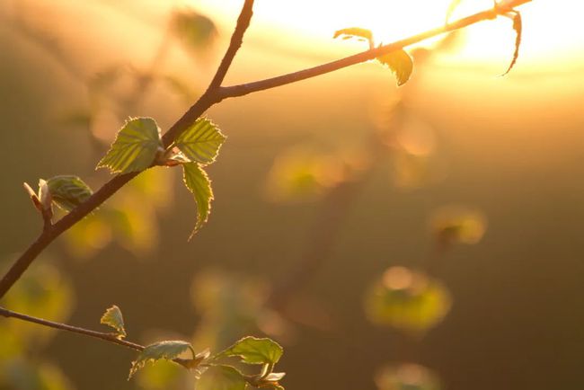晒太阳多久能补钙（晒太阳补钙直接晒皮肤吗）-硒宝网