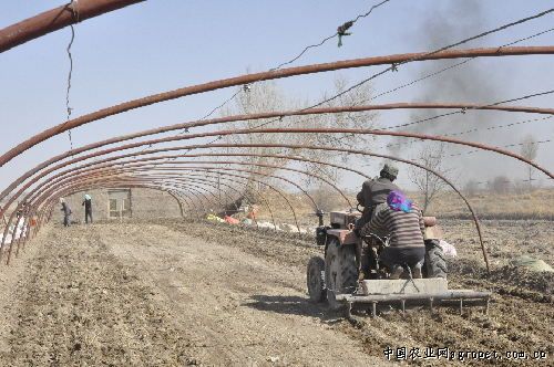 啥是富硒地瓜（富硒地瓜有什么好处）-硒宝网