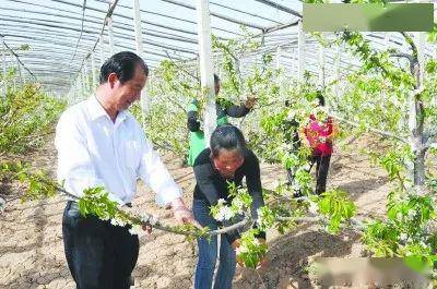 邯郸富硒面粉(邯郸富硒地区)-硒宝网