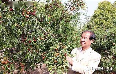 邯郸富硒面粉(邯郸富硒地区)-硒宝网