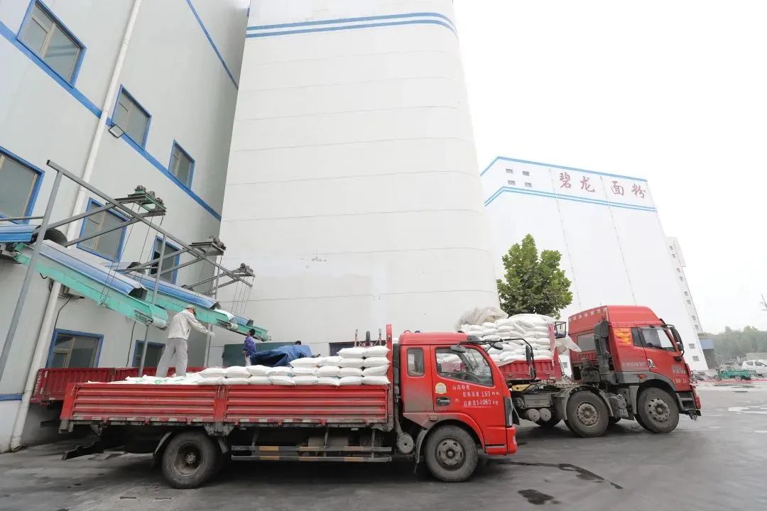 邯郸富硒面粉(富硒面粉价格)-硒宝网