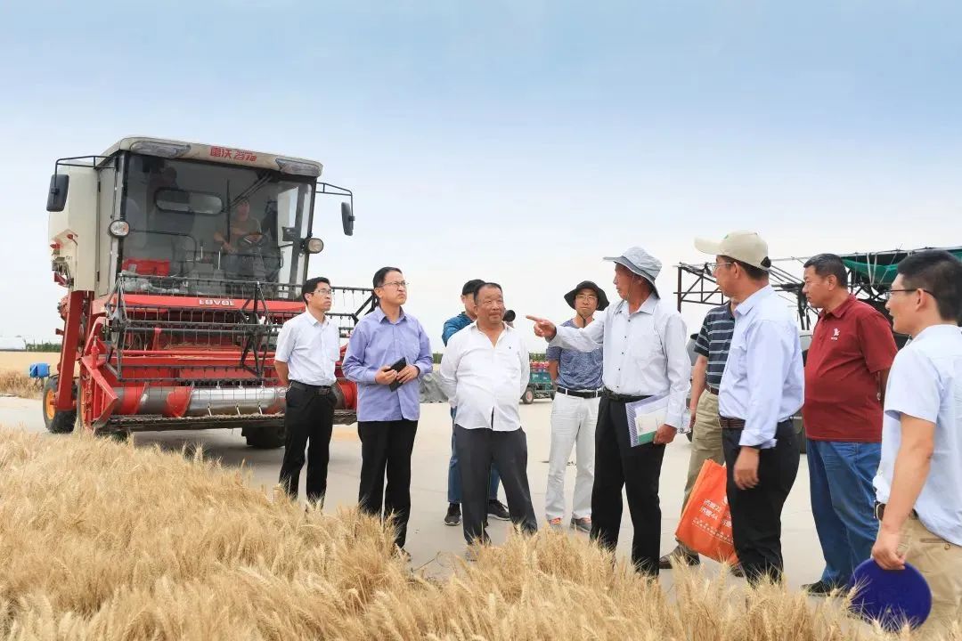 邯郸富硒面粉(富硒面粉价格)-硒宝网