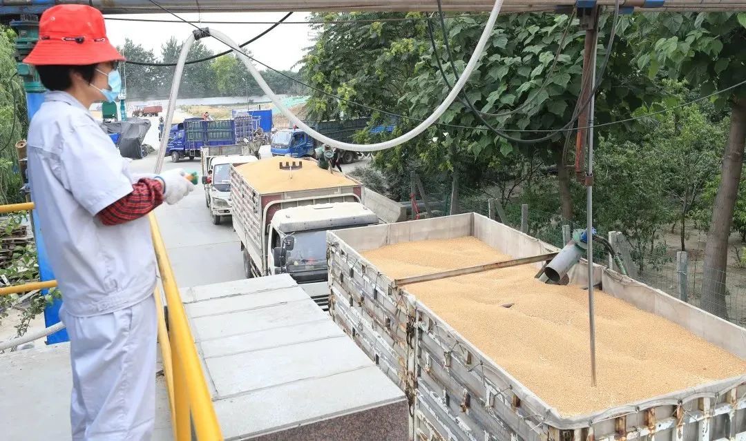 邯郸富硒面粉(富硒面粉价格)-硒宝网