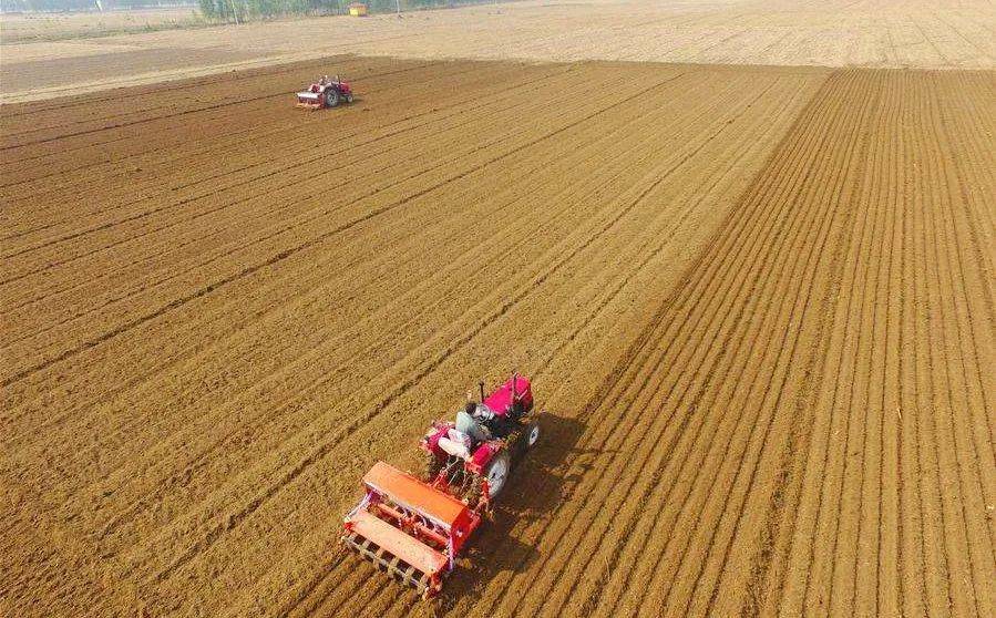富硒面粉种植(面粉富硒标准)-硒宝网