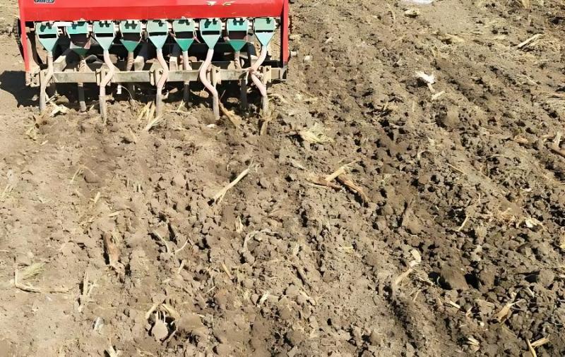 富硒面粉种植(面粉富硒标准)-硒宝网