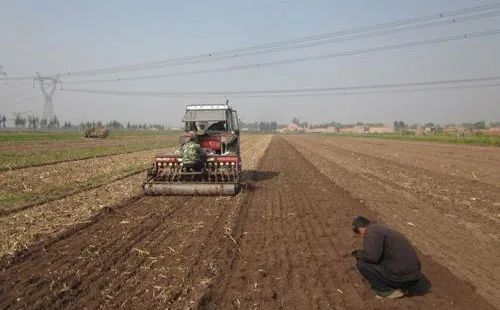 富硒面粉种植(面粉富硒标准)-硒宝网