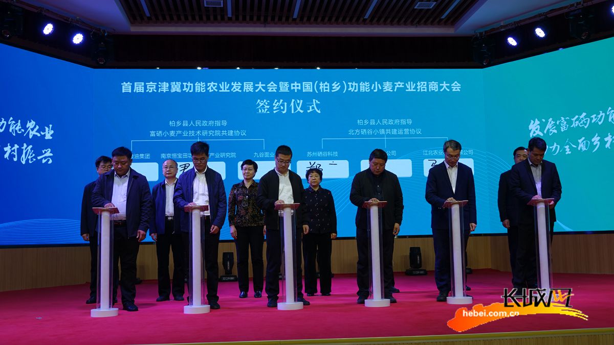 九谷富硒面粉(面粉富硒九谷醇含量)-硒宝网