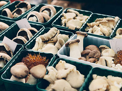 工业富硒面粉(富硒面粉厂)-硒宝网