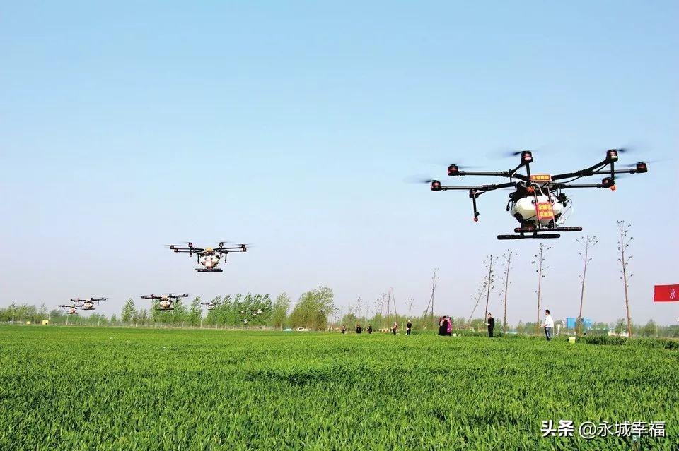 永城富硒面粉(富硒面粉厂)-硒宝网