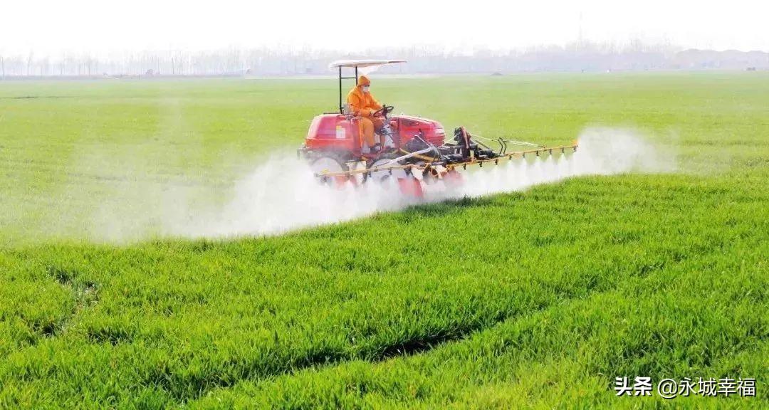 永城富硒面粉(富硒面粉厂)-硒宝网