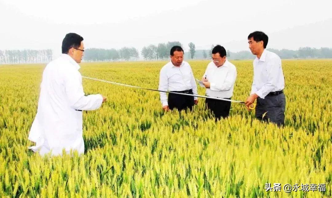 永城富硒面粉(富硒面粉厂)-硒宝网