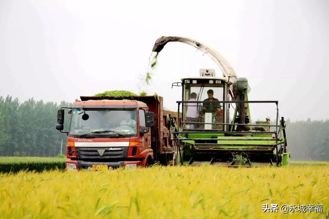 永城富硒面粉(富硒面粉厂)-硒宝网