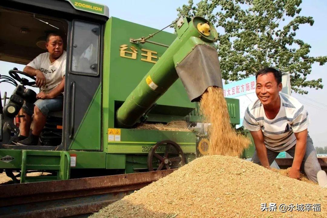 永城富硒面粉(富硒面粉厂)-硒宝网