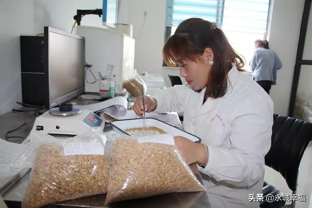 永城富硒面粉(富硒面粉厂)-硒宝网