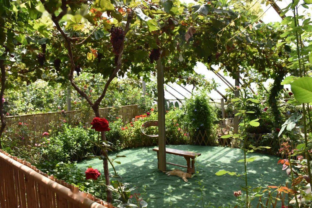 水花富硒面粉(富硒面粉和普通面粉有什么区别)-硒宝网