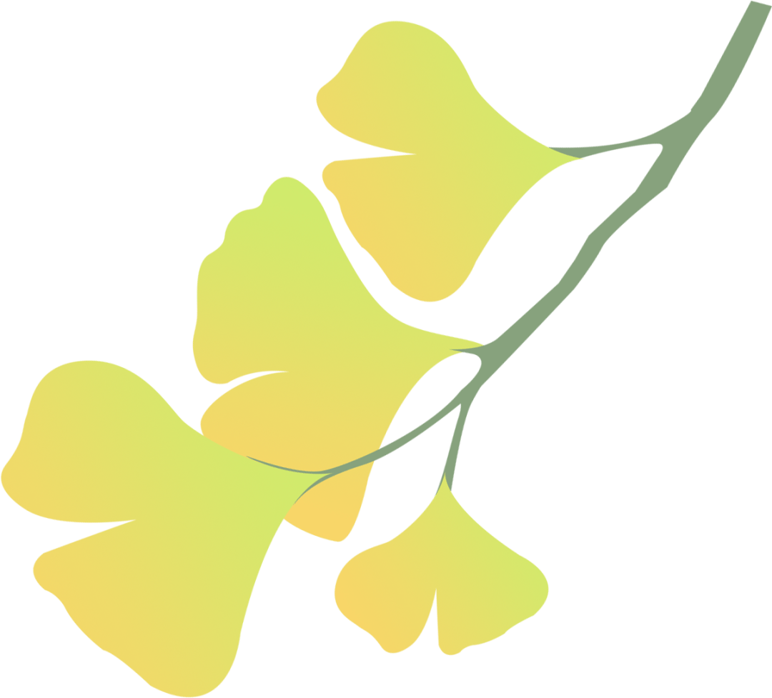 水花富硒面粉(富硒面粉和普通面粉有什么区别)-硒宝网