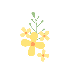 水花富硒面粉(富硒面粉和普通面粉有什么区别)-硒宝网