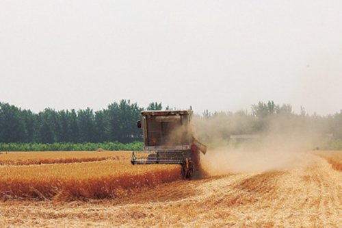 工业富硒面粉(富硒面粉和普通面粉有什么区别)-硒宝网