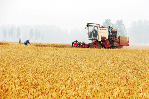 工业富硒面粉(富硒面粉和普通面粉有什么区别)-硒宝网