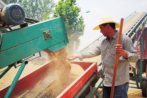 工业富硒面粉(富硒面粉和普通面粉有什么区别)-硒宝网