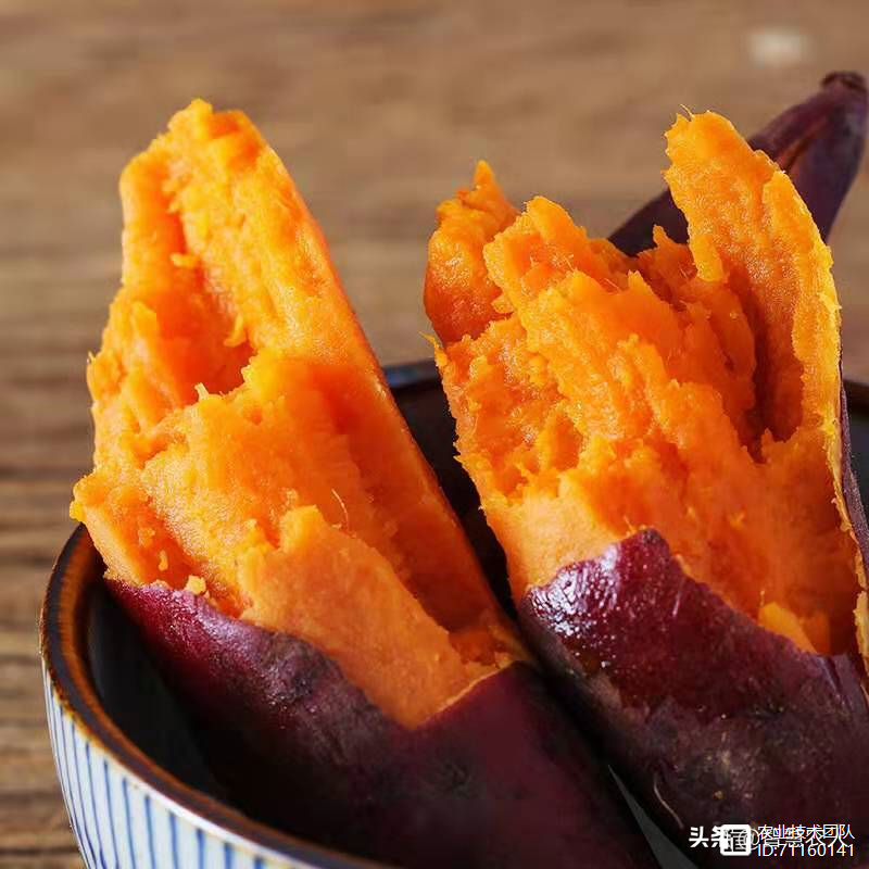 富硒地瓜农药(农药地瓜富硒含量多少)-硒宝网