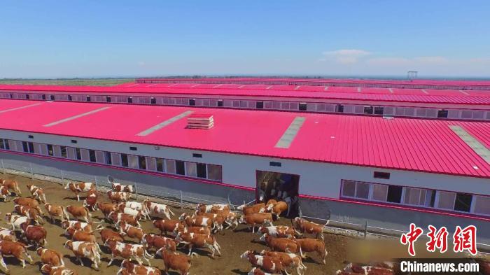 绿色富硒面粉(富硒面粉怎么是黑的)-硒宝网