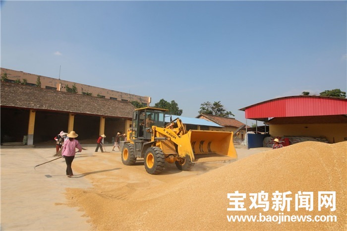 陕西富硒面粉(富硒面粉是骗局吗)-硒宝网