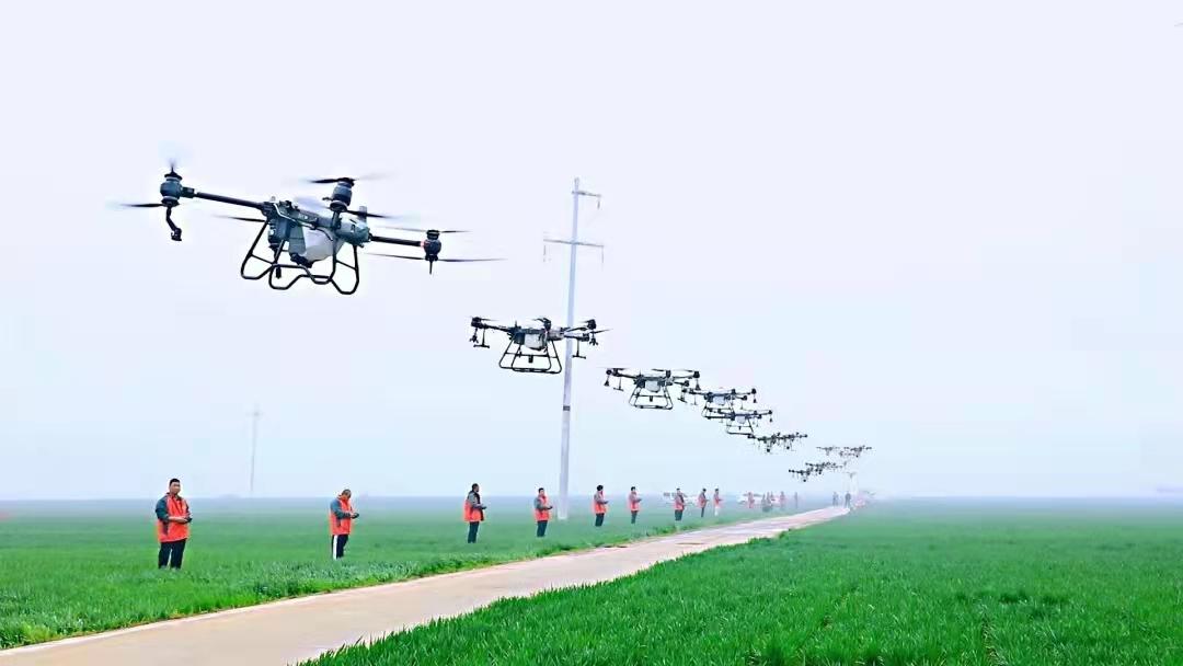 河南富硒面粉（河南富硒面粉骗局）-硒宝网