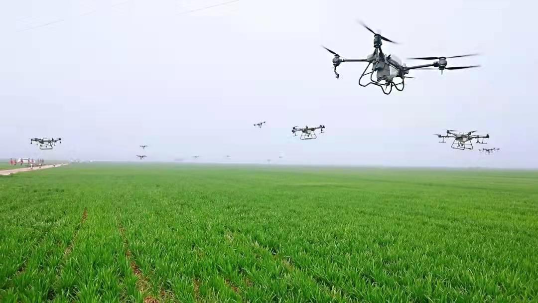 河南富硒面粉（河南富硒面粉骗局）-硒宝网