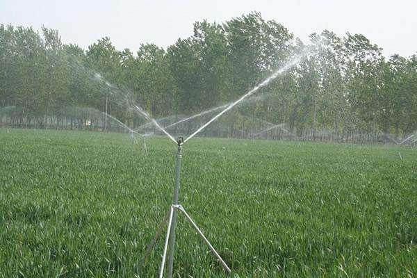 河南富硒面粉（河南富硒面粉骗局）-硒宝网