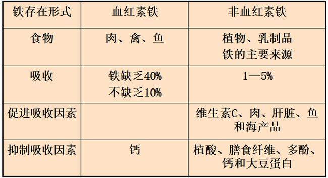 孕几周开始补铁(孕妇开始补铁剂的理想时间)-硒宝网