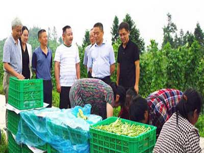 航天富硒面粉(富硒面粉是骗局吗)-硒宝网